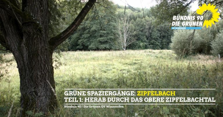 Herab durch das obere Zipfelbachtal