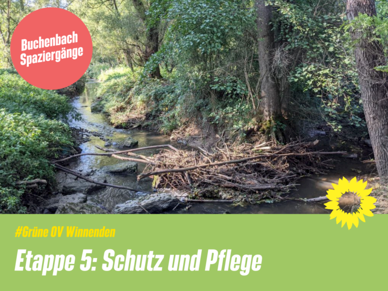 Schutz und Pflege