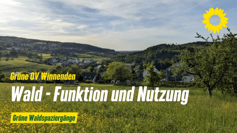 Grüne Waldspaziergänge I – Funktion und Nutzung