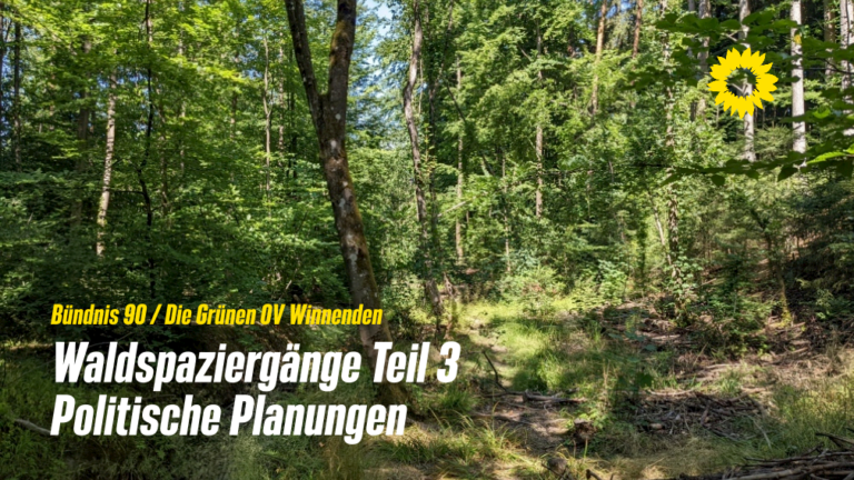 Grüne Waldspaziergänge III – Politische Planungen