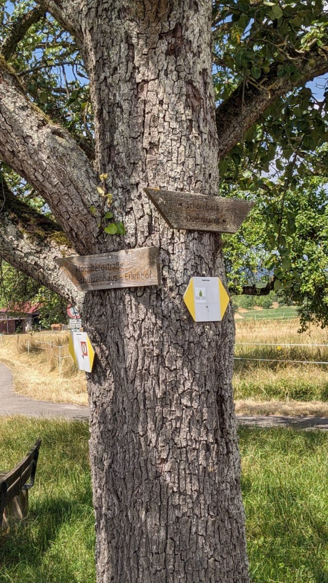 Wegweiser an einem Birnbaum