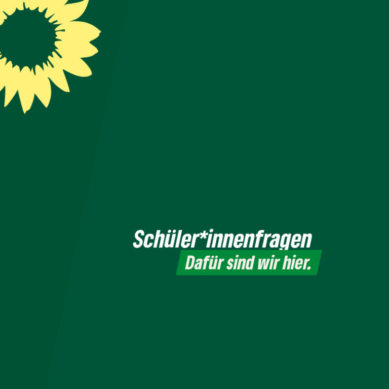 Schüler*innenfragen