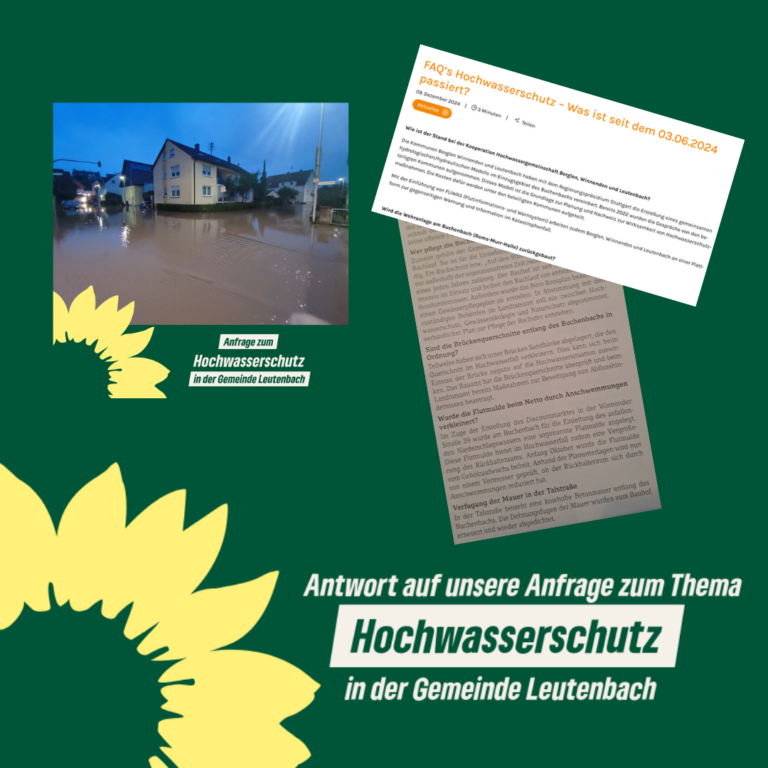 Antwort auf unsere Anfrage zum Thema Hochwasserschutz