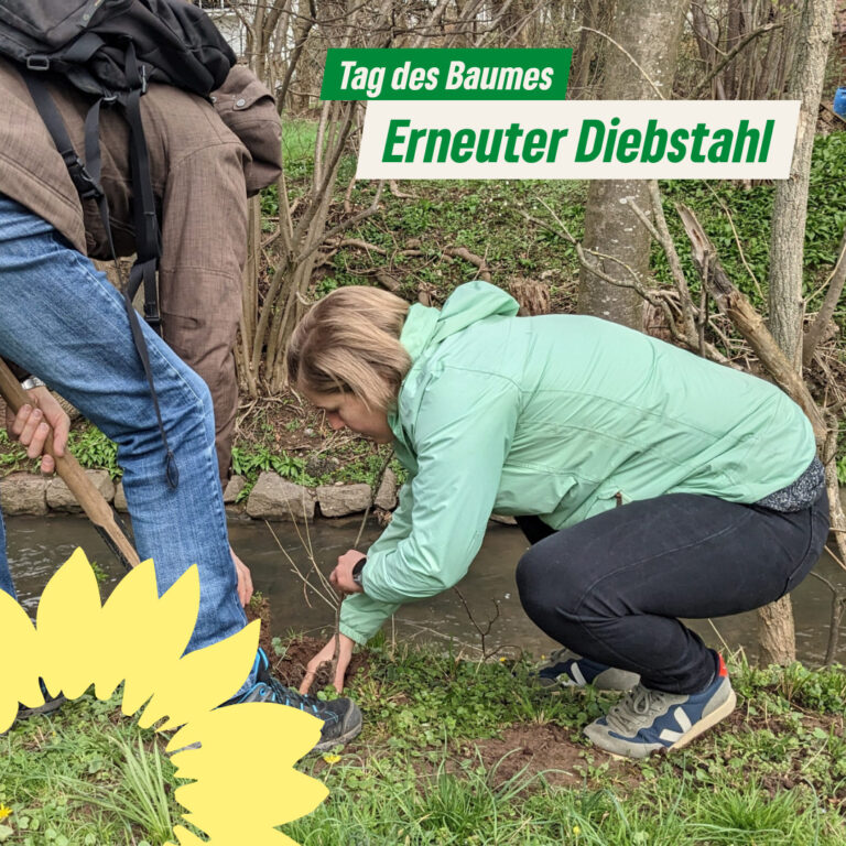Erneuter Diebstahl des Schildes zum Tag des Baumes